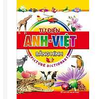 SÁCH: TỪ ĐIỂN ANH VIỆT BẰNG HÌNH