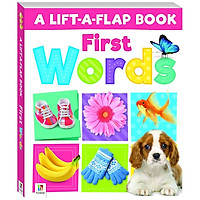 A Lift-A-Flap: First Words