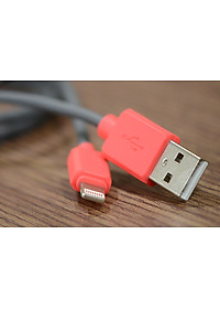 product-img-19