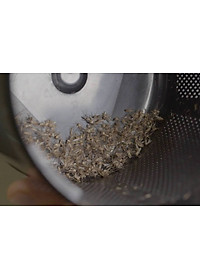 Máy Bắt Muỗi Và Diệt Côn Trùng UV Hàn Quốc MOSCLEAN