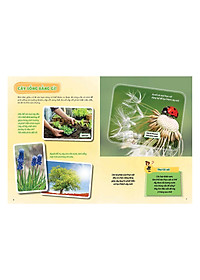 Sách Cây Cối Diệu Kì - Học Vui Hiểu Rộng Biết Nhiều