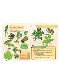 Sách Cây Cối Diệu Kì - Học Vui Hiểu Rộng Biết Nhiều