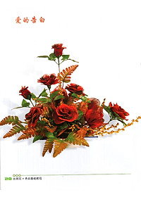product-img-2