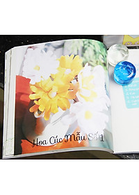 product-img-2