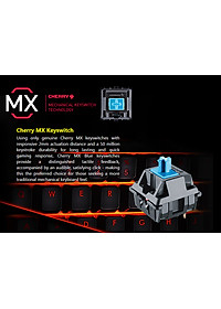 product-img-7