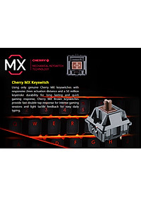 product-img-8