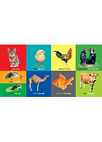Sách 101 First Words - Animals (101 Từ Đầu Tiên - Động Vật)