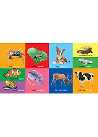 Sách 101 First Words - Animals (101 Từ Đầu Tiên - Động Vật)