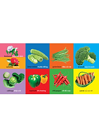 Sách 101 First Words - Plants (101 Từ Đầu Tiên - Thực Vật)