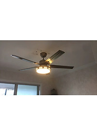 product-img-10