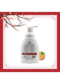 Nước rửa tay hữu cơ diệt khuẩn dạng bọt tinh dàu Cam 250ml thương hiệu Ecocare