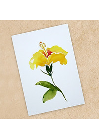 product-img-10