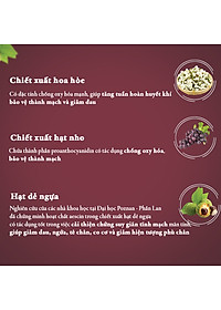 Combo 3 Thực phẩm chức năng Dân Khang Pharma Viên Uống Làm Giảm Và Phòng Ngừa Suy Giãn Tĩnh Mạch Vascovein (30 viên/hộp)