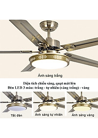 product-img-7