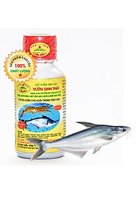 product-img-6
