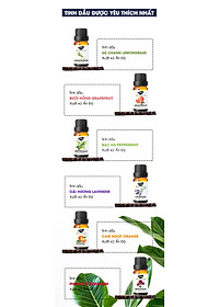 product-img-7