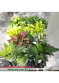 product-img-13