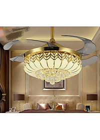 product-img-6
