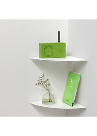 Kệ góc tường trang trí 24