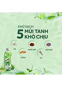 product-img-8
