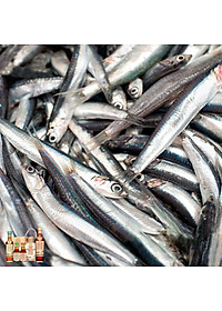 Đặc Sản Bình Thuận  - Nước Mắm Tĩn Lốc Mini Du Lịch 40N Đạm Tự Nhiên Gồm 10 Chai Thủy Tinh 60Ml Nước Mắm Rin Nguyên Chất Truyền Thống Sạch Là Cốt Nhĩ Từ Cá Cơm Than Sánh Đặc Thịt Cá Không Chất Bảo Quản - Ocop 4 Sao