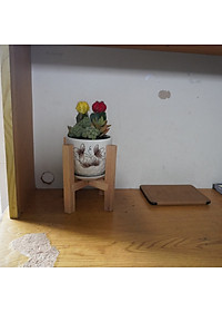 product-img-3