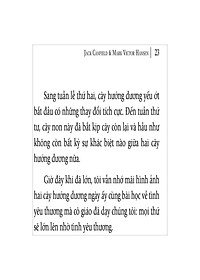 product-img-10