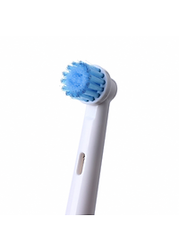 product-img-13