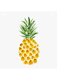 product-img-9
