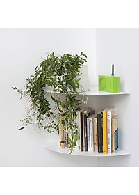 Kệ góc tường trang trí 24