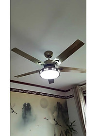 product-img-12