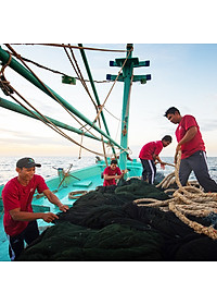 Nước mắm Phú Quốc Thanh Hà 40N - 520ml