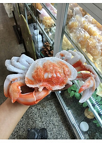 Bộ combo Cua phong thủy và xu tiền cầu tài lộc