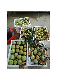 product-img-1