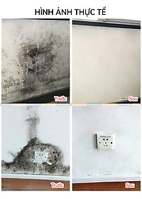 Chai Xịt Tẩy Mốc Tường Nhà 500ml LKB Tẩy Sạch Nấm Mốc Hiệu Quả Tiện Lợi Hàng Chính Hãng