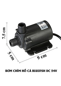 product-img-7