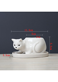 product-img-8
