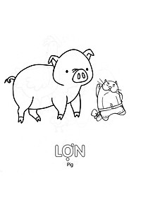 product-img-3