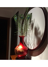 product-img-6