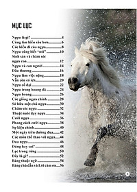 Sách Bách Khoa Tri Thức Về Khám Phá Thế Giới Cho Trẻ Em - Horses And Ponies - Loài Ngựa