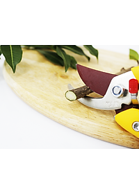 Kéo cắt cành cao cấp Nhật Bản Chikamasa PS-7Y