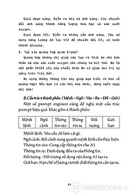 product-img-17