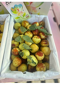 product-img-2