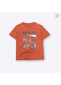 Áo Thun Bé Trai Size Đại Bigfox, Áo Phông Trẻ Em Mùa Hè Hình In Động Vật Wild Life Chất Cotton Mềm Mịn 3-11 Tuổi