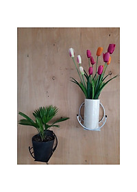 Kệ Treo Trang Trí Hình Bán Nguyệt Dán Tường Tiện Dụng ,Giá Treo Chậu Hoa Ban Công Phòng Khách- Phong Cách Hiện Đại- Chính Hãng MINIIN