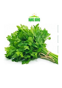 Hạt giống Cần Tây THERA - GÓI 5gram - RẠNG ĐÔNG - độ đồng đều cao , thân lá màu xanh mướt ,lá to có khía sâu ,mùi rất thơm