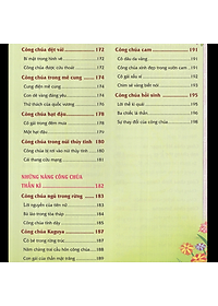 product-img-5