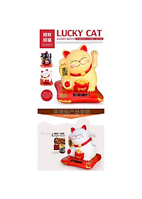 product-img-3