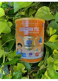 product-img-2