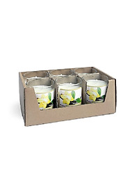 Hộp 6 ly nến thơm votive Eden Candle FTRAMART EDC0016 Vanilla (Hương vani)